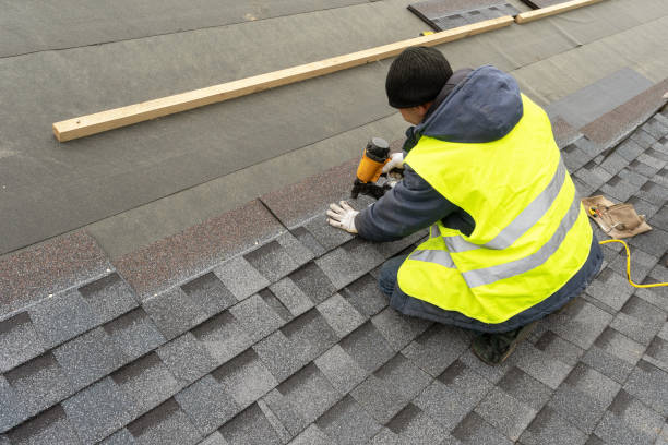 Roof Gutter Cleaning in Hanahan, SC