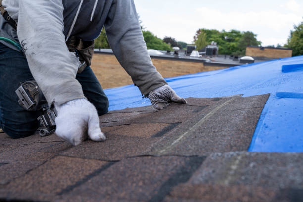 Best Storm Damage Roof Repair  in Hanahan, SC